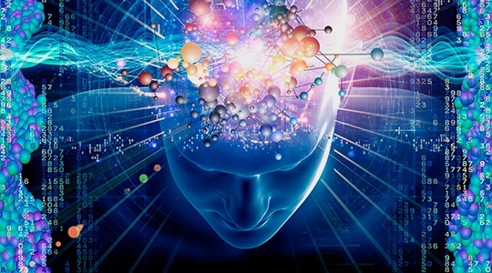 The Future of Touchless Technologies: Voice or Gesture