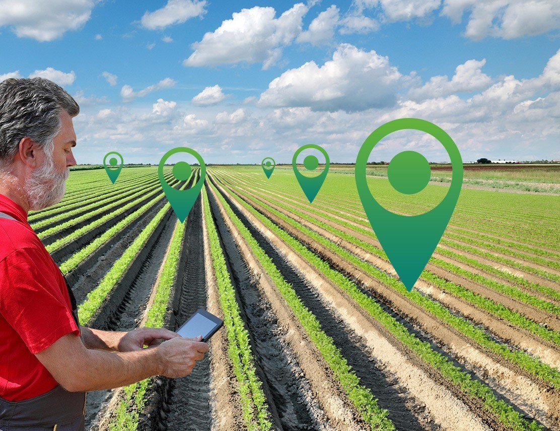 Ariel approach and solutions