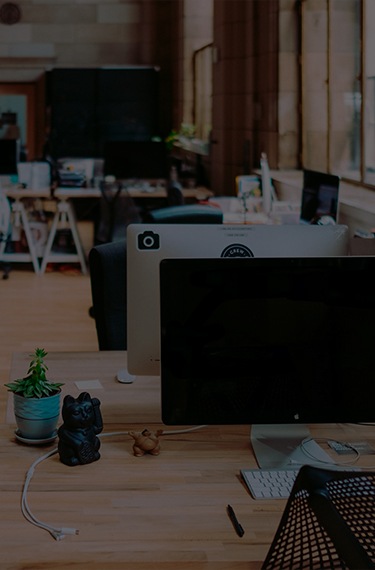 Dedicated Software Development Teams