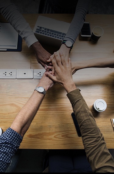 Software development expertise