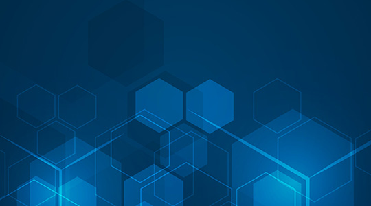 IT consulting and system integration