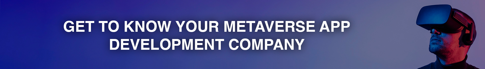 cost of building metaverse